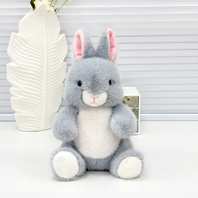 25cm35cm