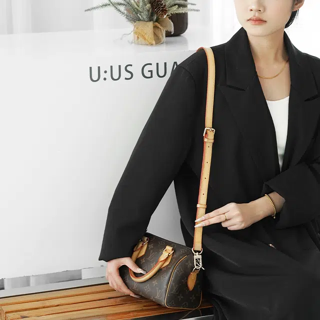 LOUIS VUITTON Speedy 20