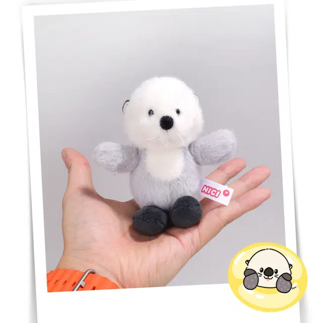 NICI 10cm
