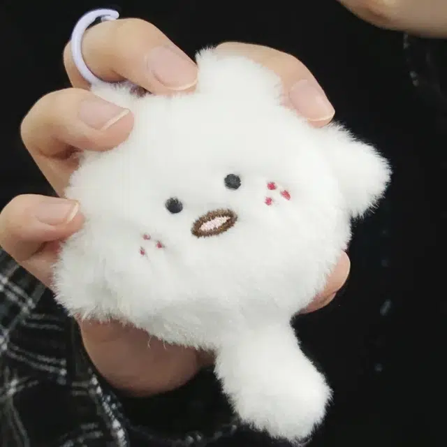 6cm