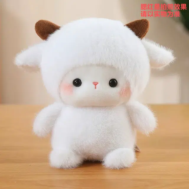 16cm