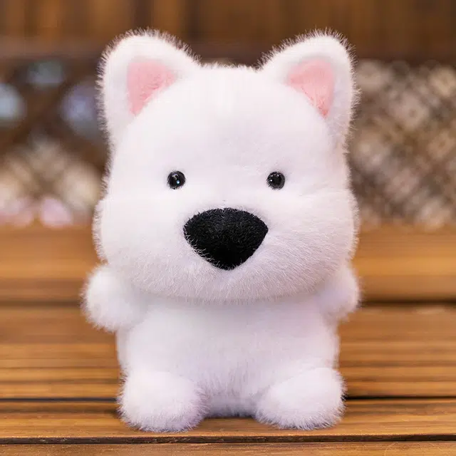 16cm