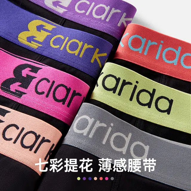 clarkarida S5 logo 3