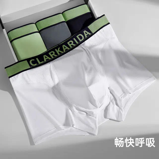 clarkarida 4