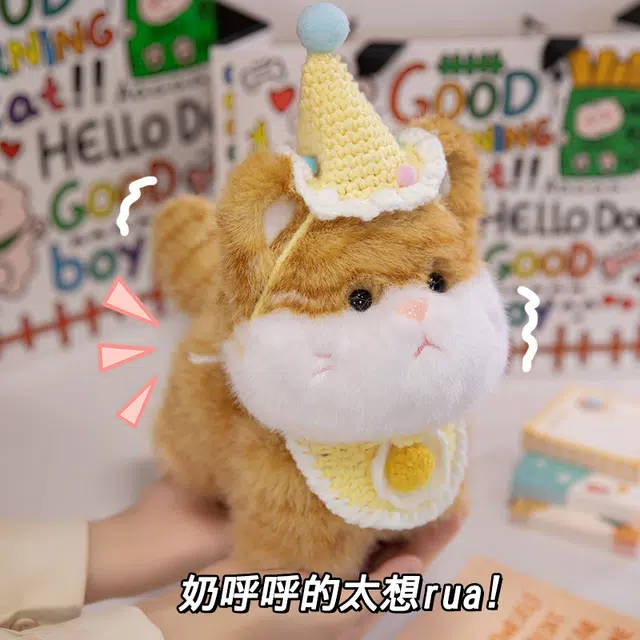 20cm30cm