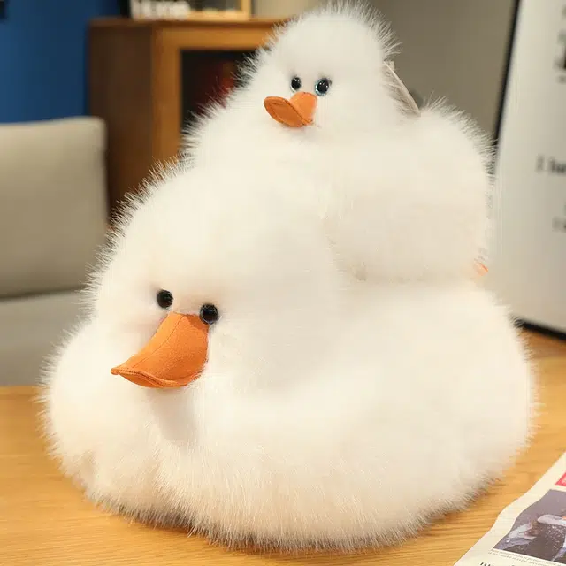25cm40cm60cm