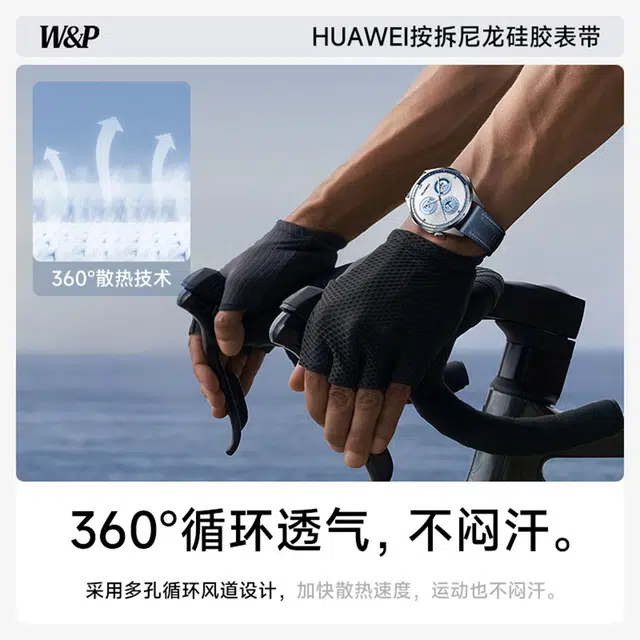 WP + GT543watch446mm