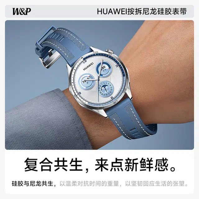 WP + GT543watch446mm