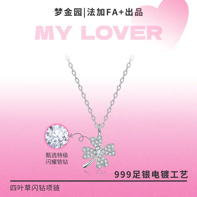 FA+ ins S999