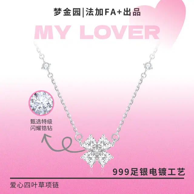 FA+ ins S999