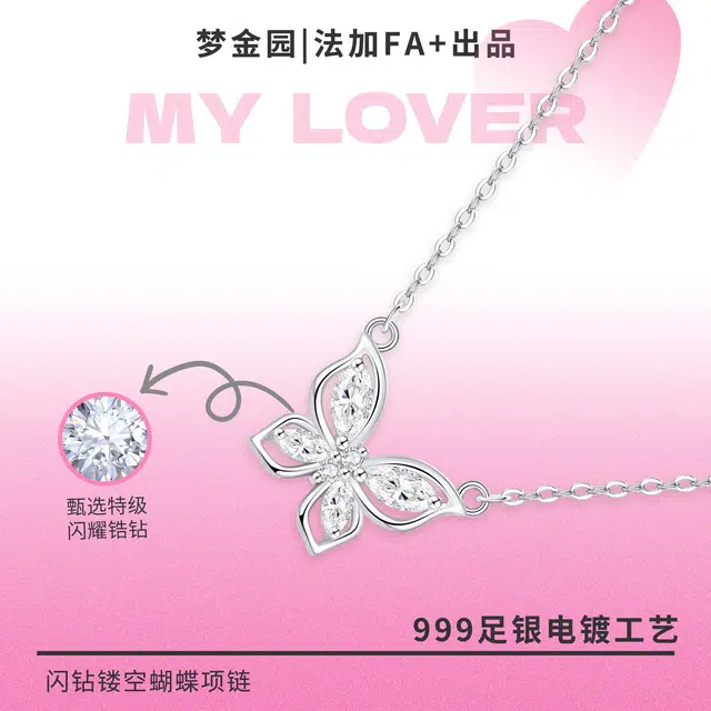 FA+ ins S999