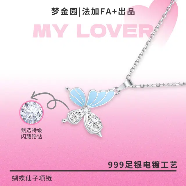FA+ ins S999