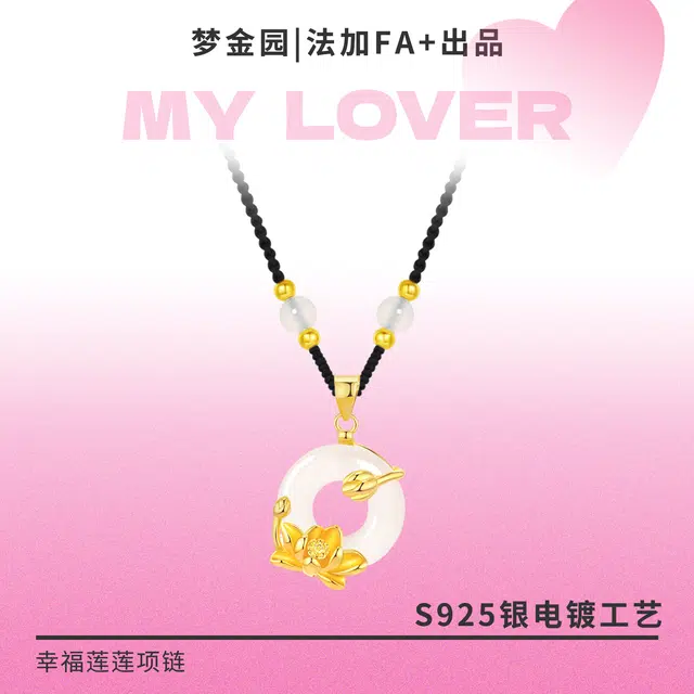 FA+ S925