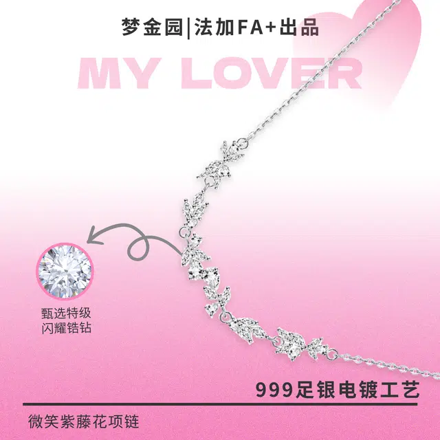FA+ ins S999
