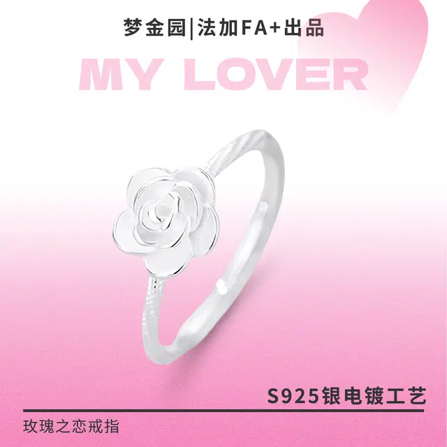 FA+ ins S925