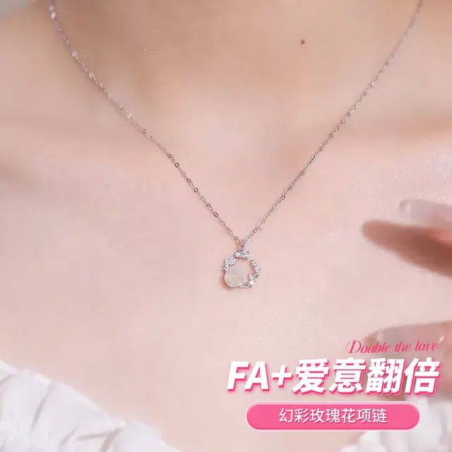 FA+ ins S925