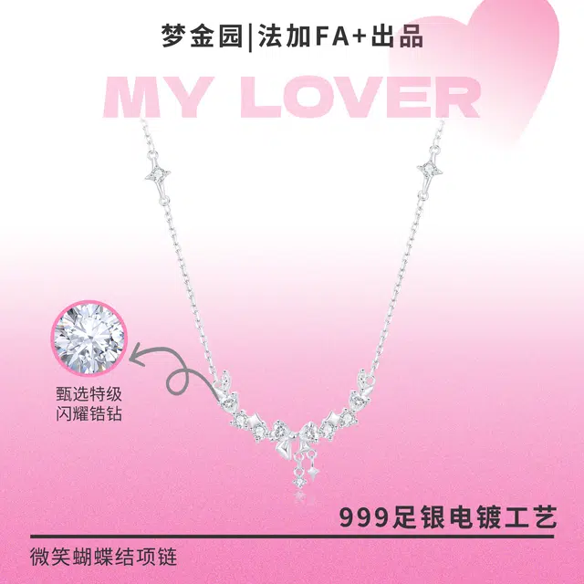 FA+ ins S999