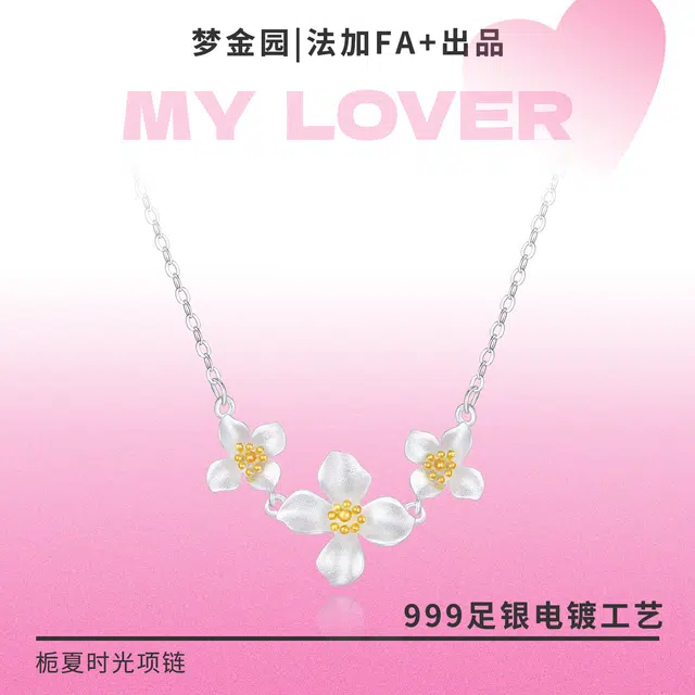 FA+ S999