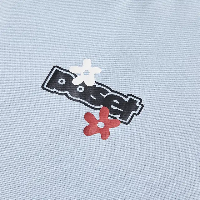 PASET T