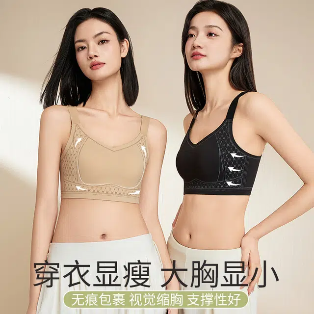 新世家族 聚拢提拉防下垂大胸显小全罩杯侧收副乳无痕舒适柔软轻薄透气高弹不勒立体固定杯防滑无钢圈文胸 女款 组合装