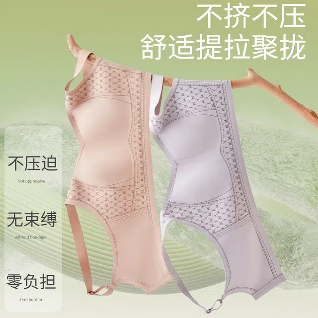 新世家族 聚拢提拉防下垂大胸显小全罩杯侧收副乳无痕舒适柔软轻薄透气高弹不勒立体固定杯防滑无钢圈文胸 女款 组合装