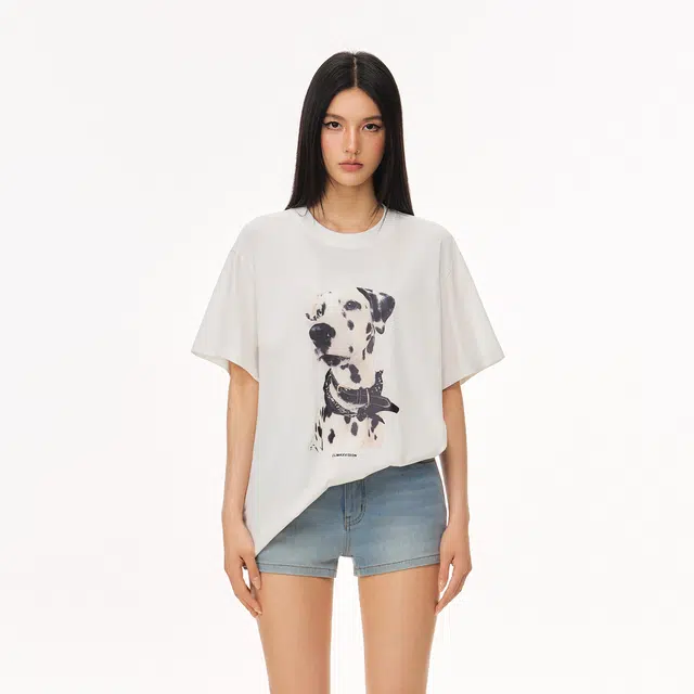 CLIMAX VISION T