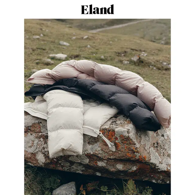E.land