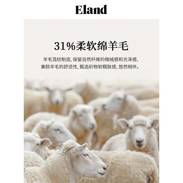 E.land V