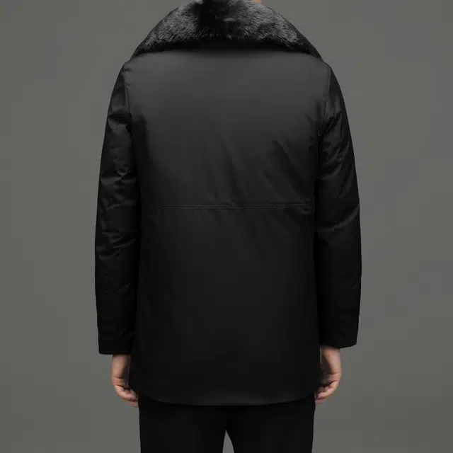 PIERRE CARDIN 2025