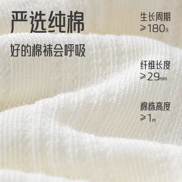 棉基因 字母刺绣薄款透气防臭舒适无骨中筒袜 女款 组合装