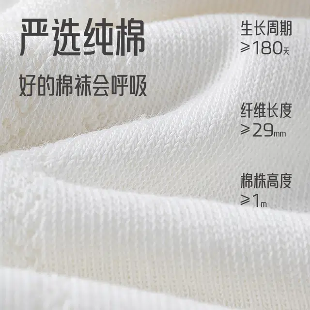 棉基因 透气防臭舒适可爱日系甜美百搭卡通网眼中筒袜 女款 组合装