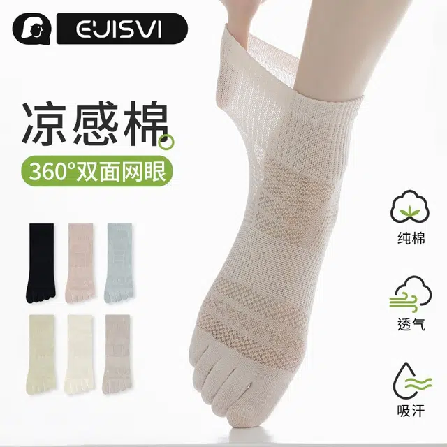 euisvi 4