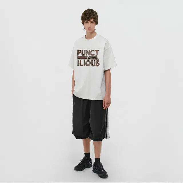 PUNCTILIOUS T