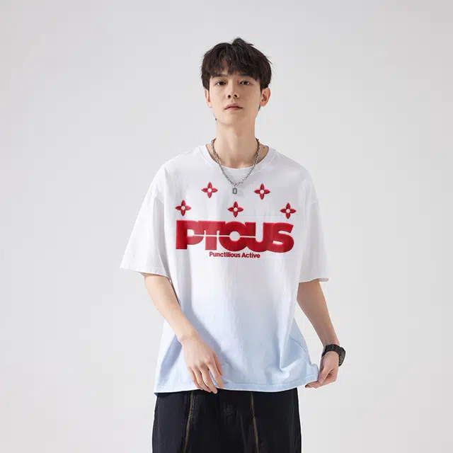 PUNCTILIOUS T