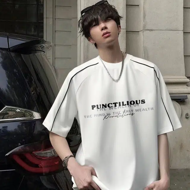 PUNCTILIOUS T
