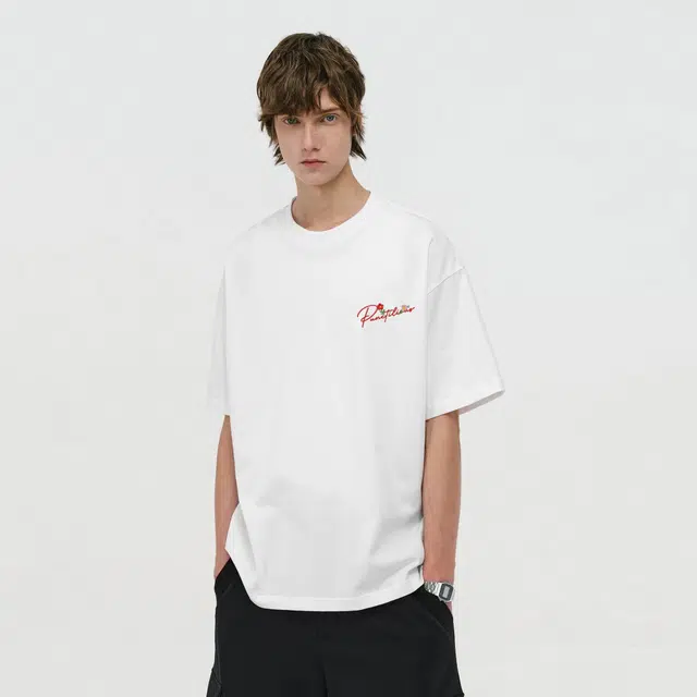 PUNCTILIOUS T