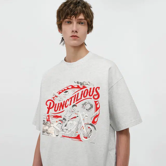 PUNCTILIOUS T