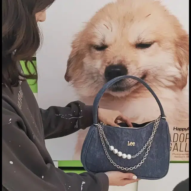 Lee LBAG OL