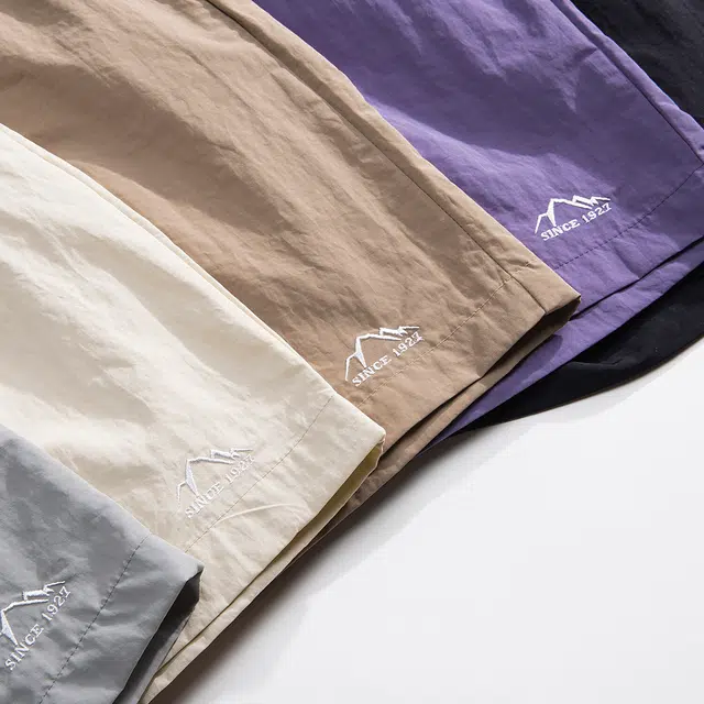 欧路得 刺绣薄款速干运动宽松沙滩五分休闲短裤 男款