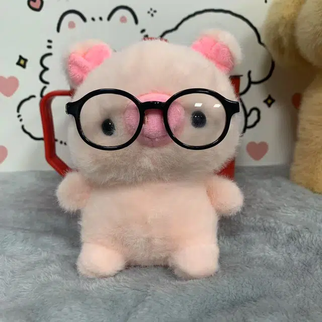 16cm