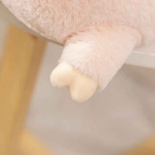 20cm