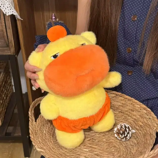 13cm35cm
