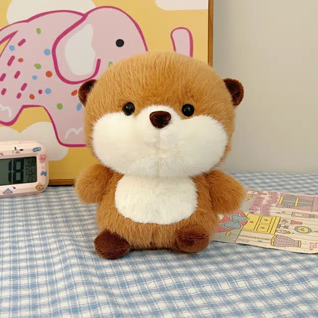 16cm