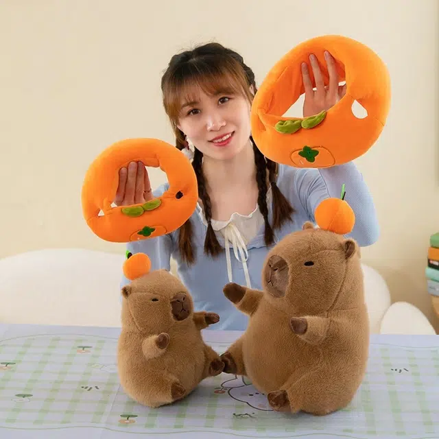 25cm35cm