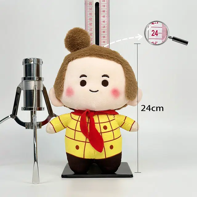 24cm