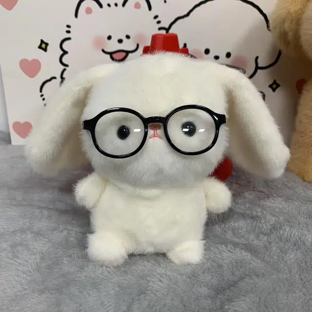 16cm