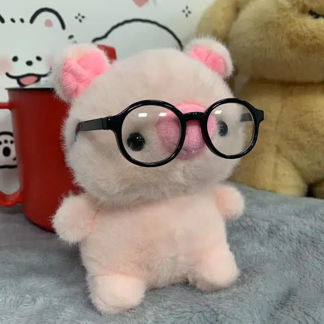 16cm