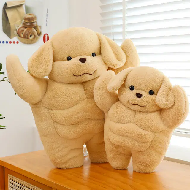 35cm50cm65cm