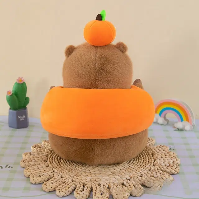25cm35cm