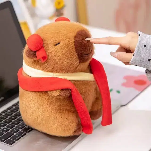 25cm30cm40cm50cm
